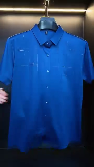 Men Classic Opaque Formal Shirt